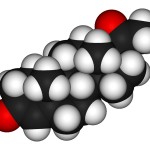 progesterone Progesterone