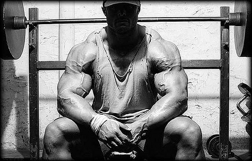 Build Fast Muscle