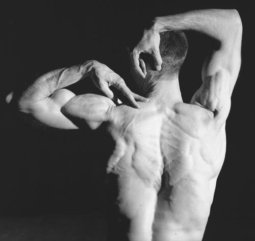 sdt_michael_popper_back_muscles_500