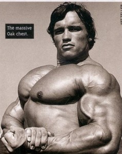 011_arnold_chest-238x300